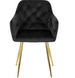 Стілець оксамитовий MEBEL ELITE RAYA Velvet чорний / золотий